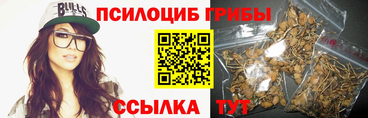 Псилоцибиновые грибы мухоморы Избербаш